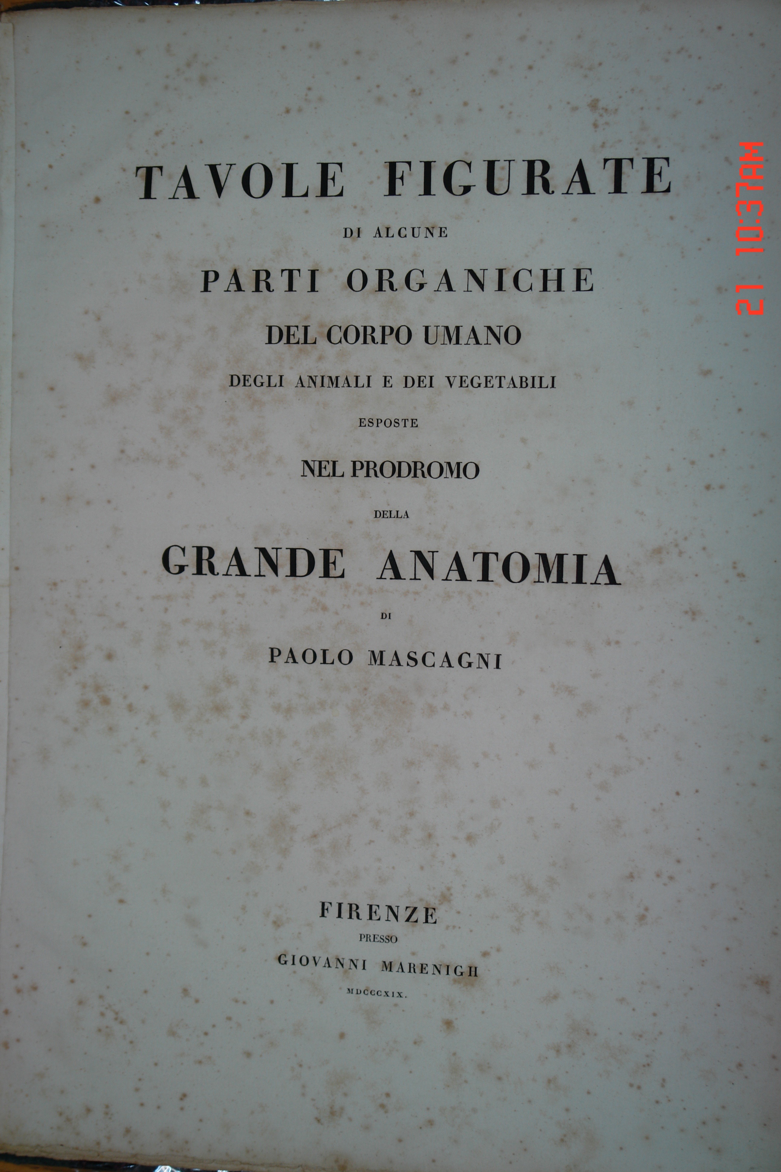 Libri Antichi — Collezione Farnesi