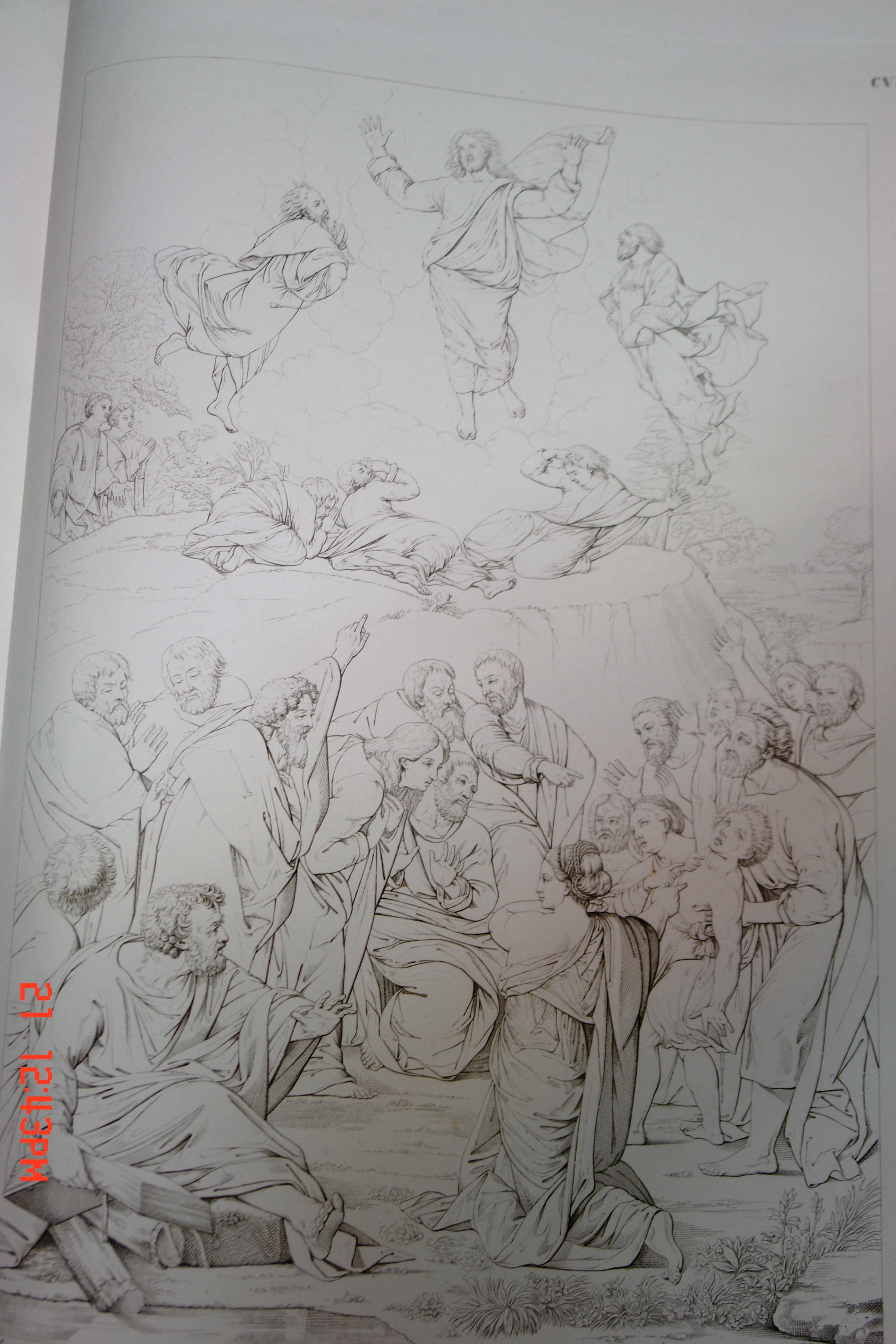 Libro antico — Collezione Farnesi