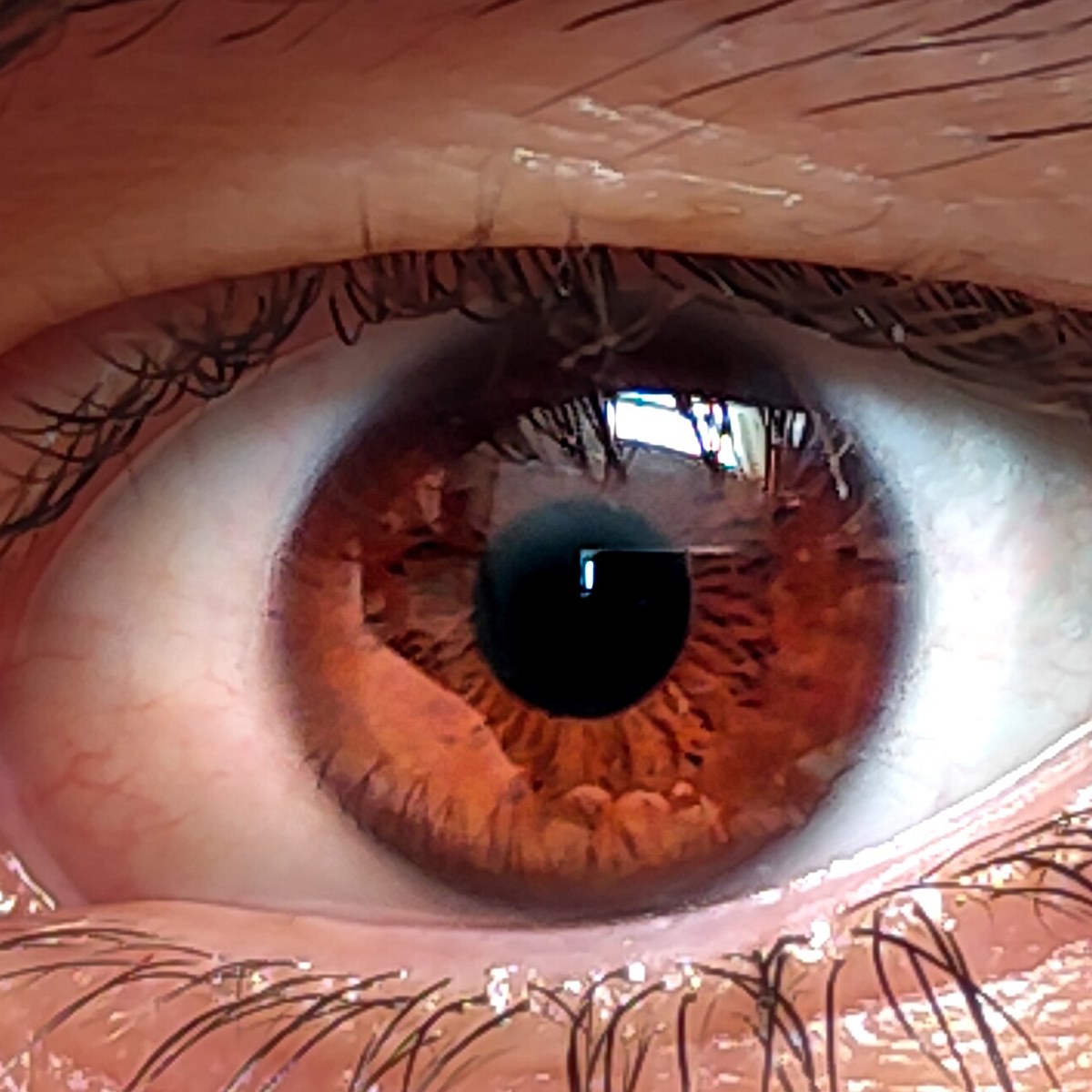 Fotografia ravvicinata di un occhio umano: l'iride castana e la pupilla